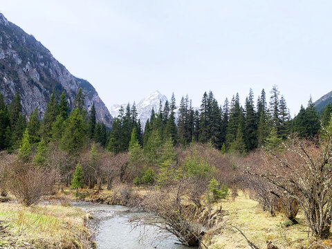 森林雪山溪流