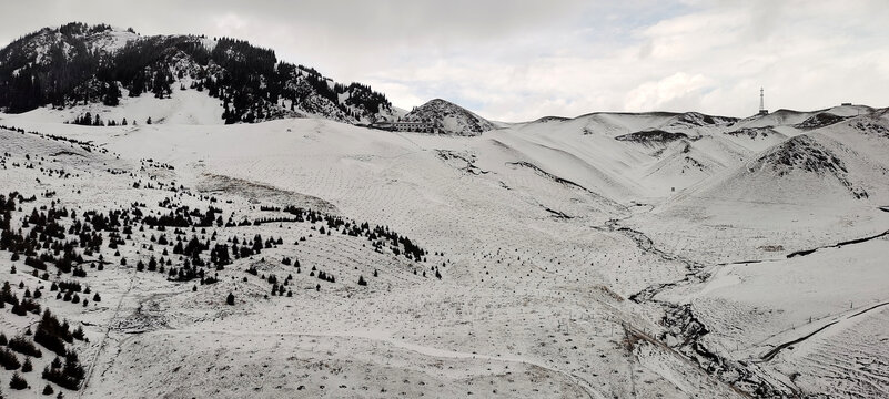 雪原