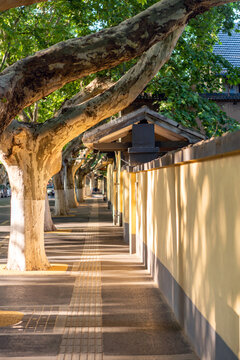 民国建筑风格的街道