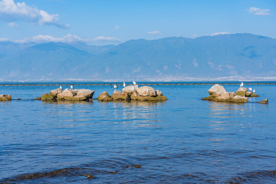 大理洱海风光