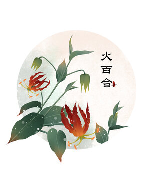 火百合紅色花卉