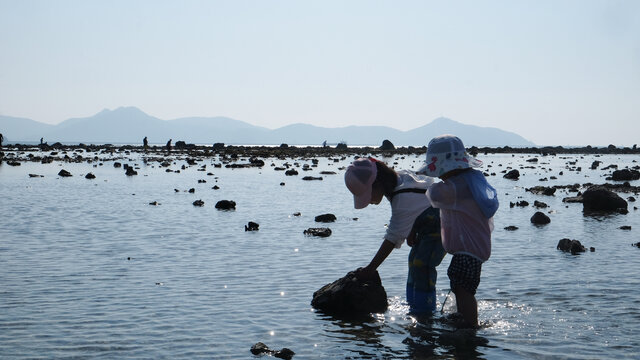 赶海