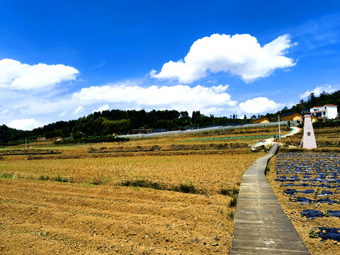 沙老寨旅游