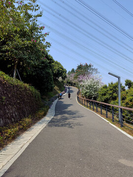 光明大雁山绿道