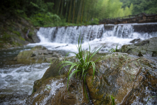 青山绿水