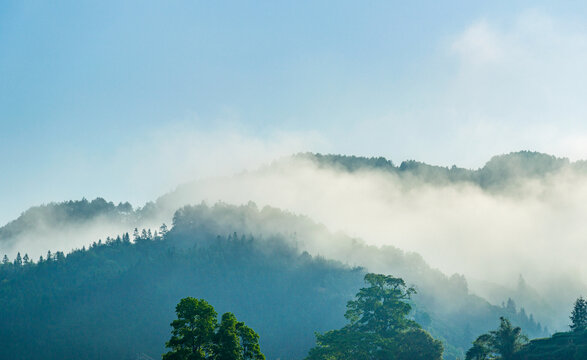 山川森林植被云雾生态环境