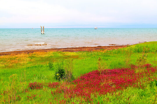 青海湖风光