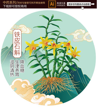 鐵皮石斛