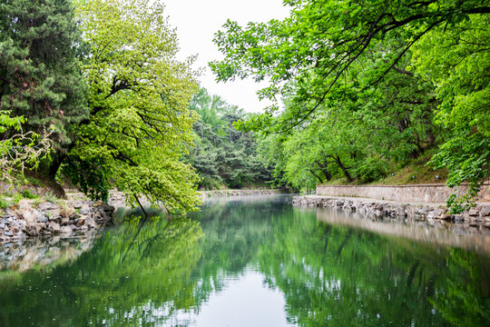 河道治理