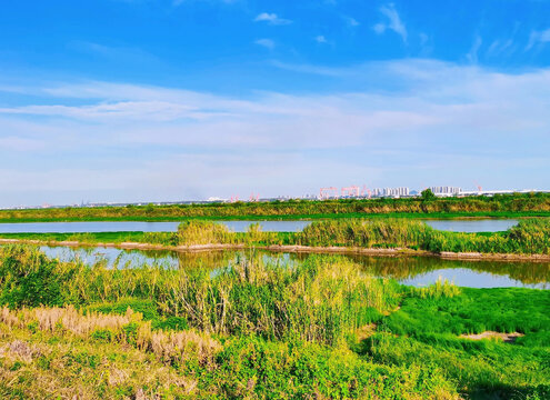 江边风景