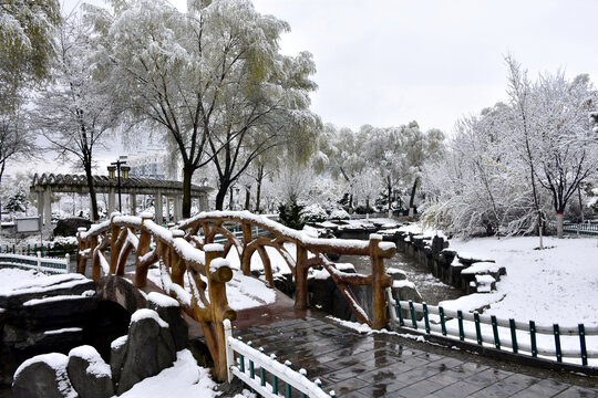 公园雪景