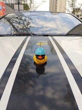 汽车和小黄鸭