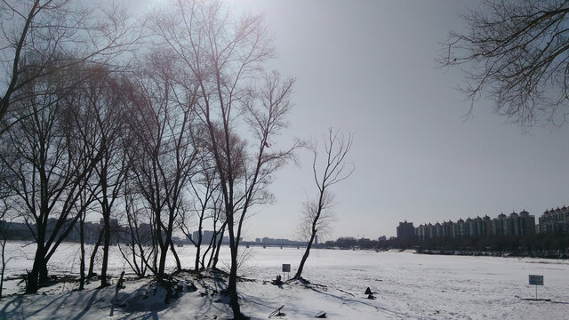 冬日雪景