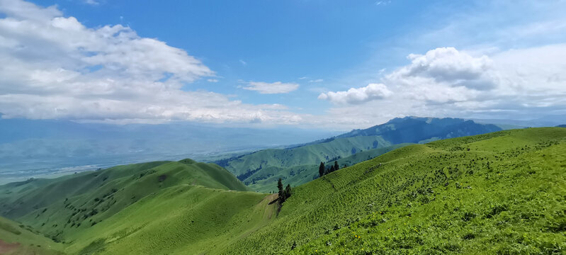 高山草原