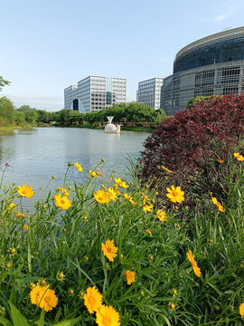 花海公园