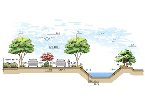 濱水道路綠化手繪斷面圖
