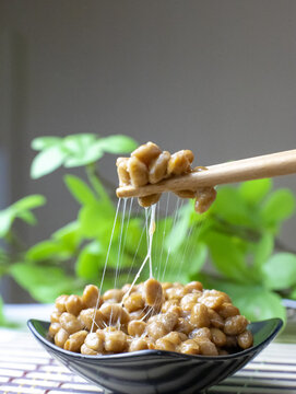 日本有机食品纳豆降血脂