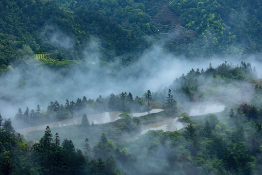 丽水松阳高山云海日出航拍