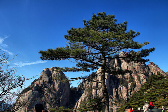 黄山风景