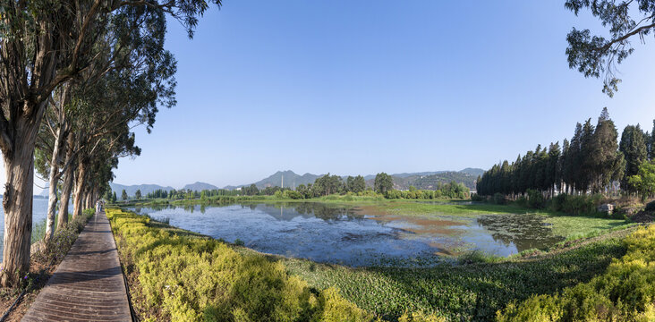 滇池草海全景图