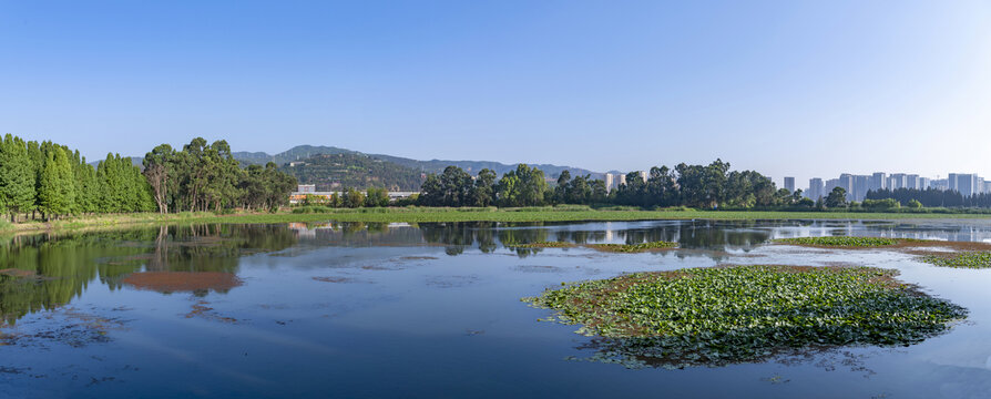 滇池草海全景图