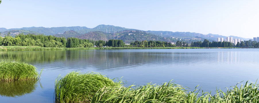 滇池草海全景图