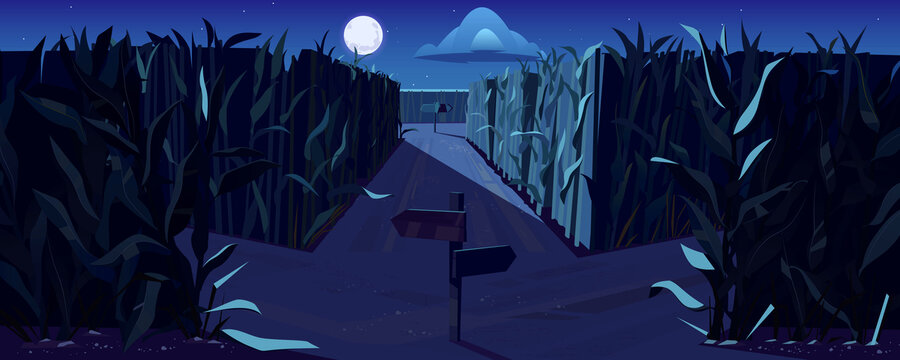 夜晚玉米田中的岔路口与木制方向标志