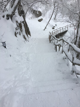 黄山雪景