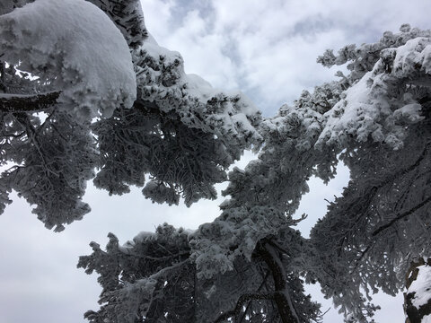 黄山雪景