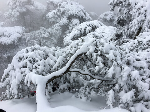 黄山雪景