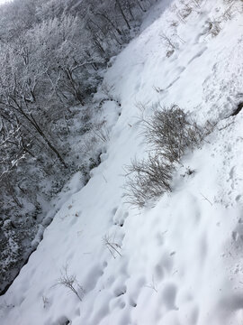 黄山雪景