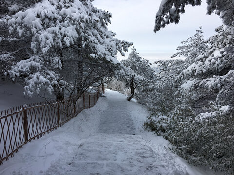 黄山雪景