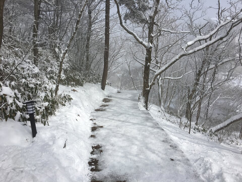 黄山雪景