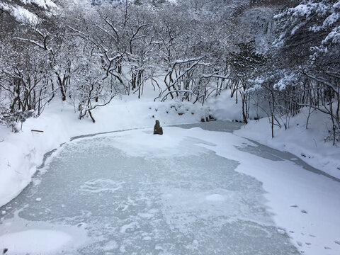 黄山雪景