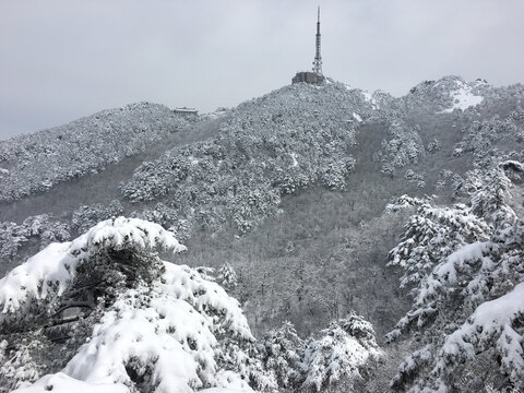 黄山雪景