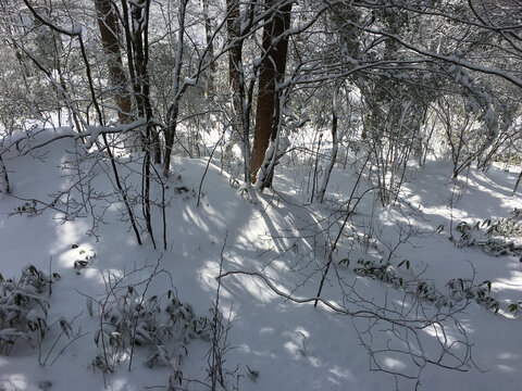 黄山雪景