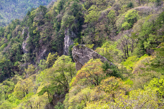 洛阳栾川老君山风景区