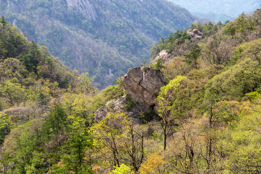 洛阳栾川老君山风景区