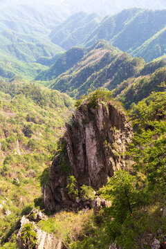 洛阳栾川老君山风景区