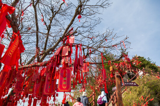 洛阳栾川老君山风景区