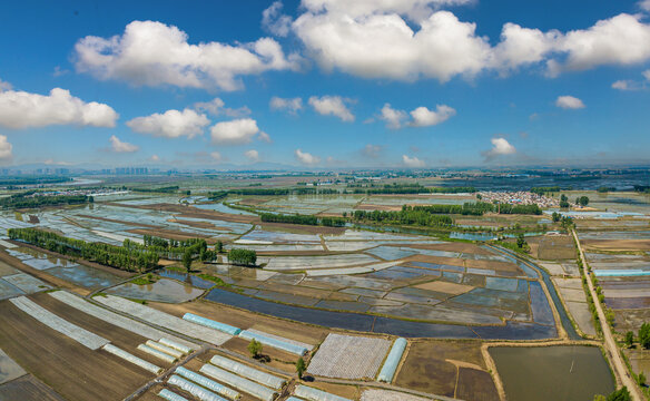 东北水稻村庄大地