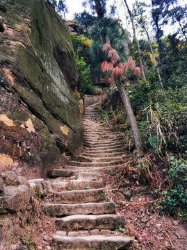 登山