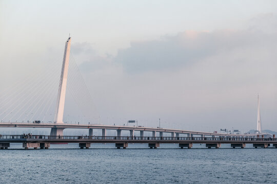 深圳湾公路大桥