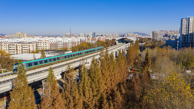 西海岸新区秋景