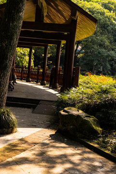 休闲步道