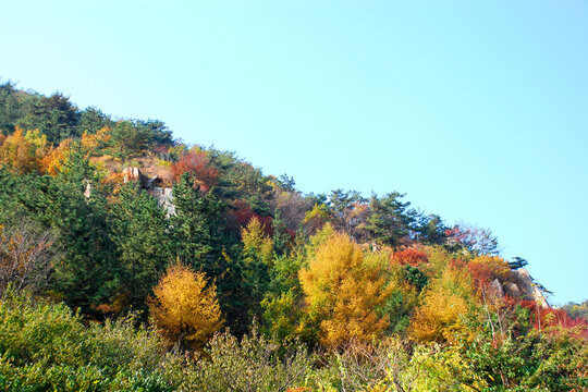 青岛崂山秋色