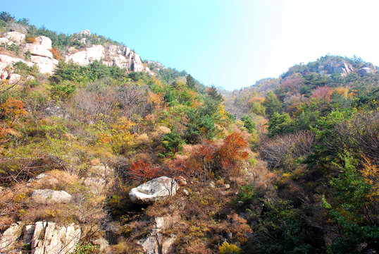 青岛崂山秋色