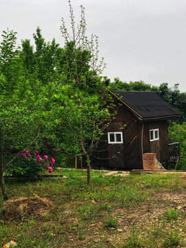 鲜花绿叶小木屋