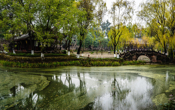 初冬的新都桂湖公园
