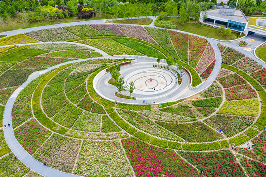 航拍郑州月季花海螺旋形植物园